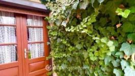 Eladó családi ház Orosháza