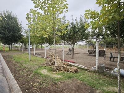 Eladó lakóövezeti telek Sződliget