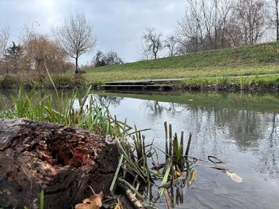 Eladó lakóövezeti telek Gyula