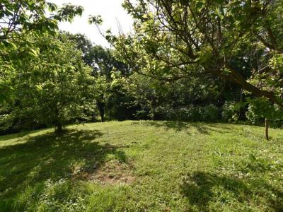 Eladó lakóövezeti telek Sárhida