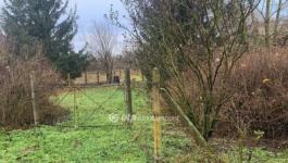 Eladó külterületi telek Nyíregyháza