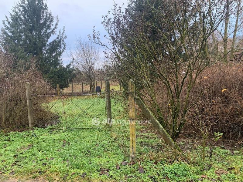 Eladó külterületi telek Nyíregyháza