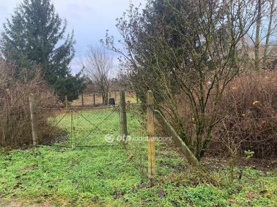 Eladó külterületi telek Nyíregyháza