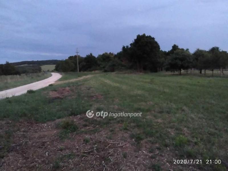 Eladó lakóövezeti telek Hárskút