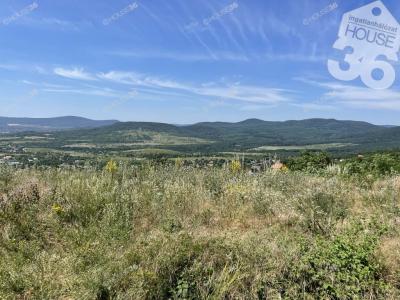 Eladó üdülőövezeti telek Szentendre