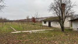 Eladó egyéb telek Gyula