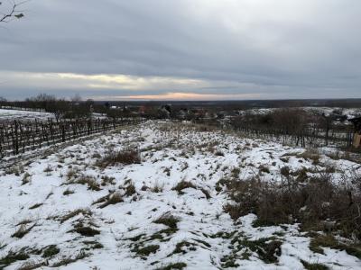 Eladó lakóövezeti telek Győr