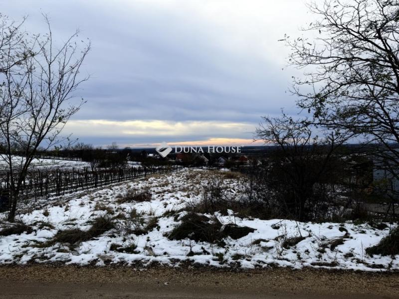 Eladó lakóövezeti telek Győr