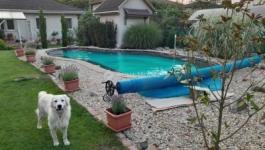 Eladó családi ház Vecsés