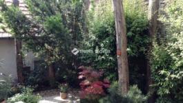 Eladó lakás Szentendre