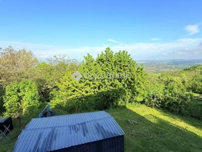 Eladó családi ház Szentendre