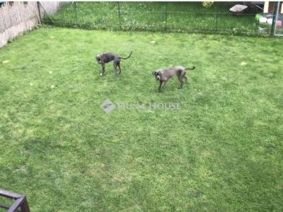 Eladó ikerház Szentendre