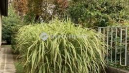 Eladó családi ház Budapest