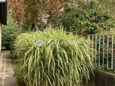 Eladó családi ház Budapest