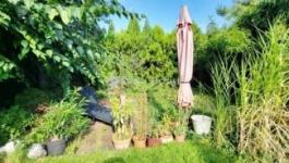 Eladó családi ház Dunakeszi