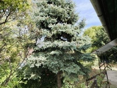 Eladó ikerház Budapest