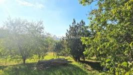 Eladó családi ház Pécs