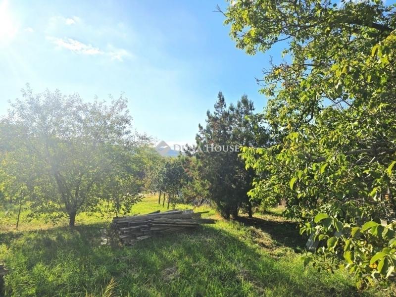 Eladó családi ház Pécs