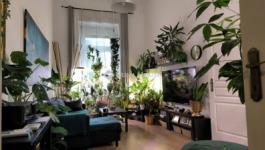 Eladó lakás Budapest