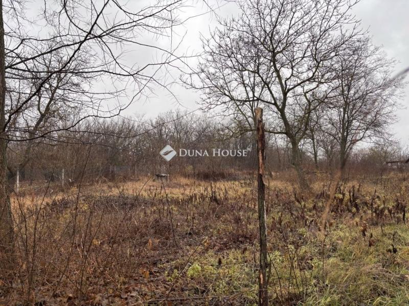 Eladó lakóövezeti telek Őrbottyán