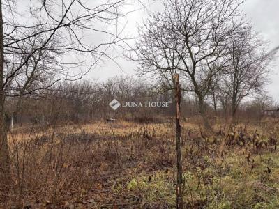 Eladó lakóövezeti telek Őrbottyán