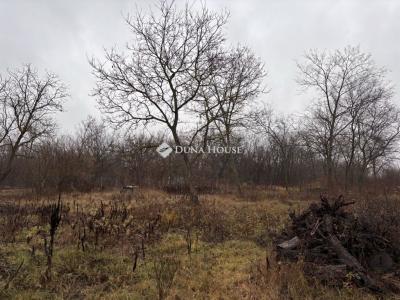 Eladó lakóövezeti telek Őrbottyán