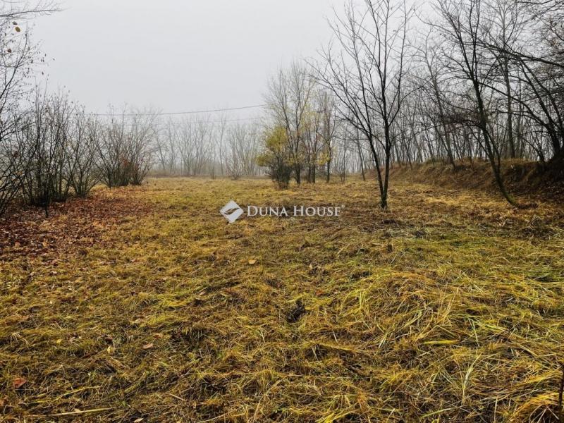 Eladó lakóövezeti telek