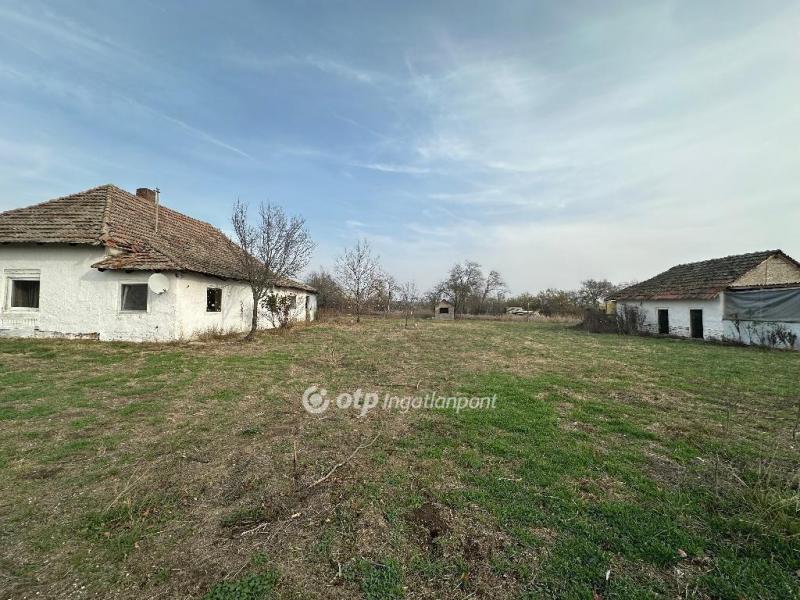 Eladó tanya Szentes