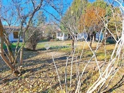 Eladó családi ház Budapest