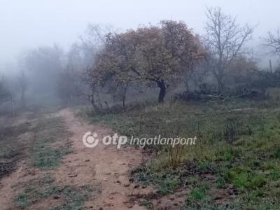 Eladó lakóövezeti telek Székesfehérvár