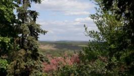 Eladó nyaraló Erdőkertes