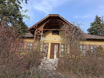 Eladó kastély Szada