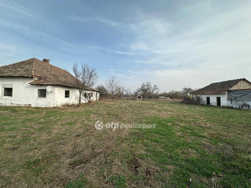 Eladó tanya Szentes