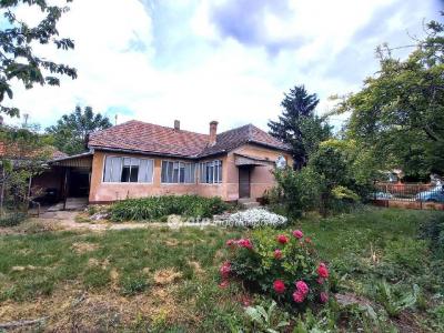 Eladó családi ház Tömörkény