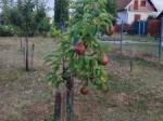 Eladó nyaraló Siófok