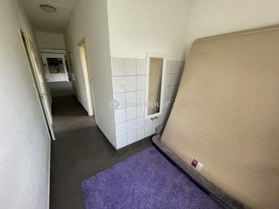 Eladó családi ház Domony