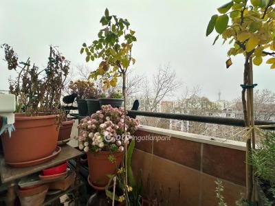 Eladó lakás Budapest