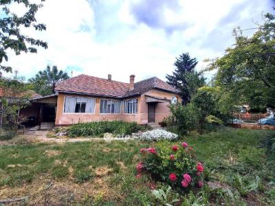 Eladó családi ház Tömörkény