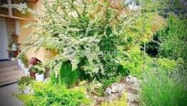 Eladó családi ház Budapest