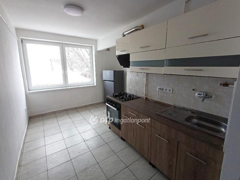 Kiadó lakás Csongrád