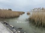 Eladó lakás Balatonberény