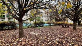 Eladó lakás Tiszavasvári