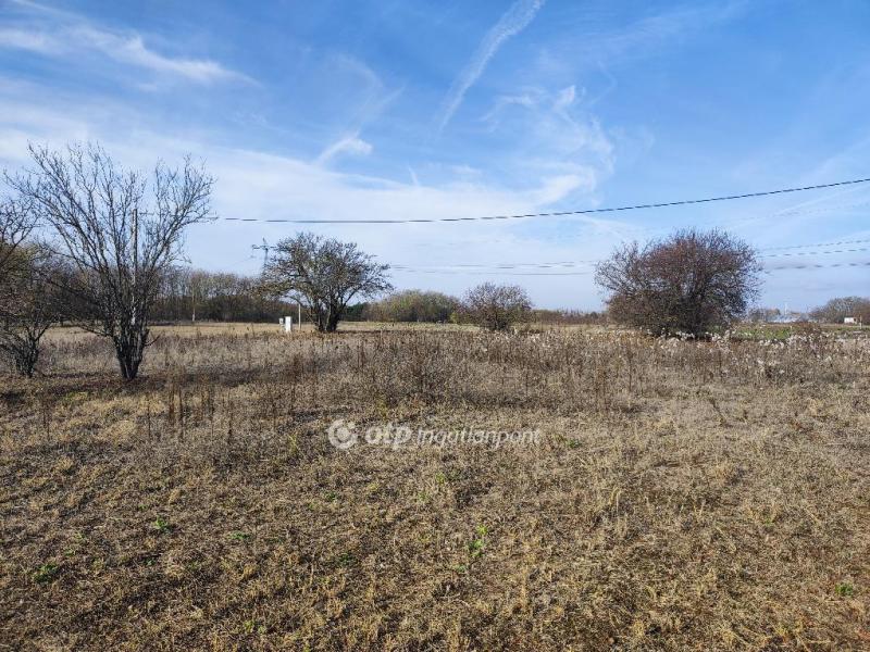 Eladó nyaraló Szeged