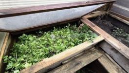 Eladó lakás Gödöllő