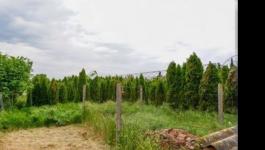 Eladó családi ház Szeged