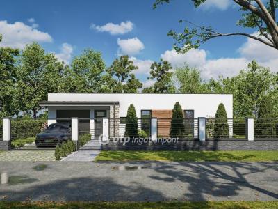 Eladó családi ház Diósd