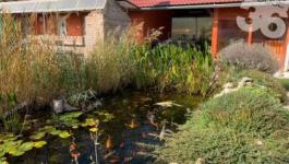 Eladó családi ház Rácalmás