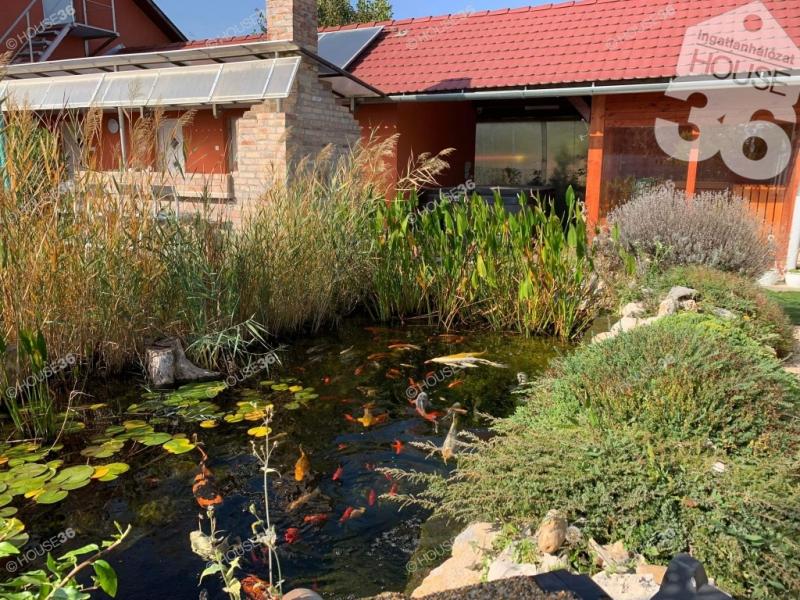 Eladó családi ház Rácalmás