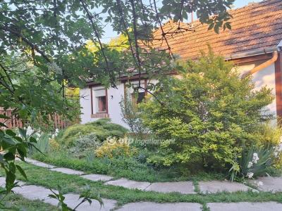 Eladó családi ház Békés