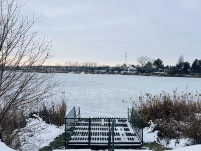 Eladó családi ház Délegyháza